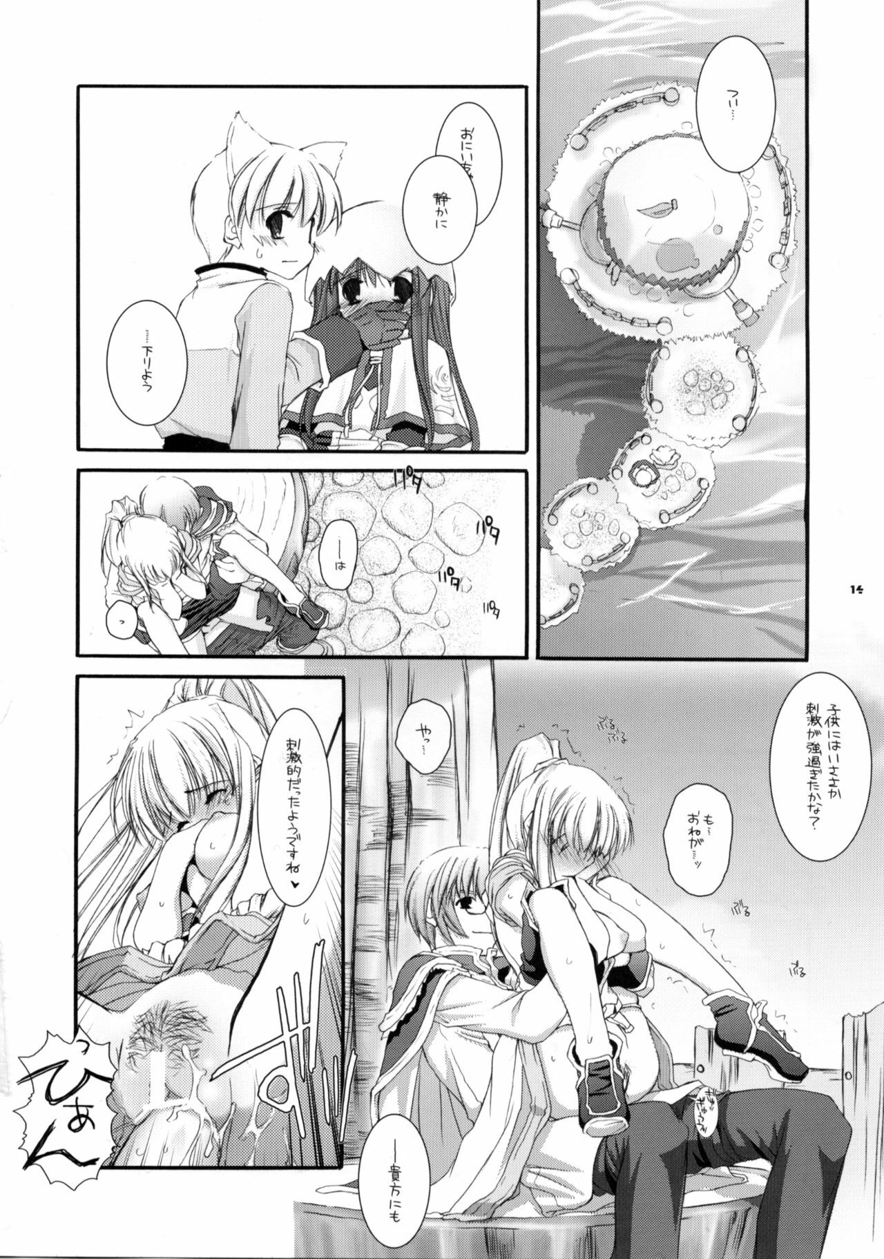 (SC23) [Digital Lover (Nakajima Yuka)] D.L. Action 23 X-RATED (Ragnarok Online) page 13 full