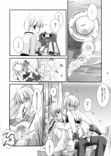 (SC23) [Digital Lover (Nakajima Yuka)] D.L. Action 23 X-RATED (Ragnarok Online) - page 13