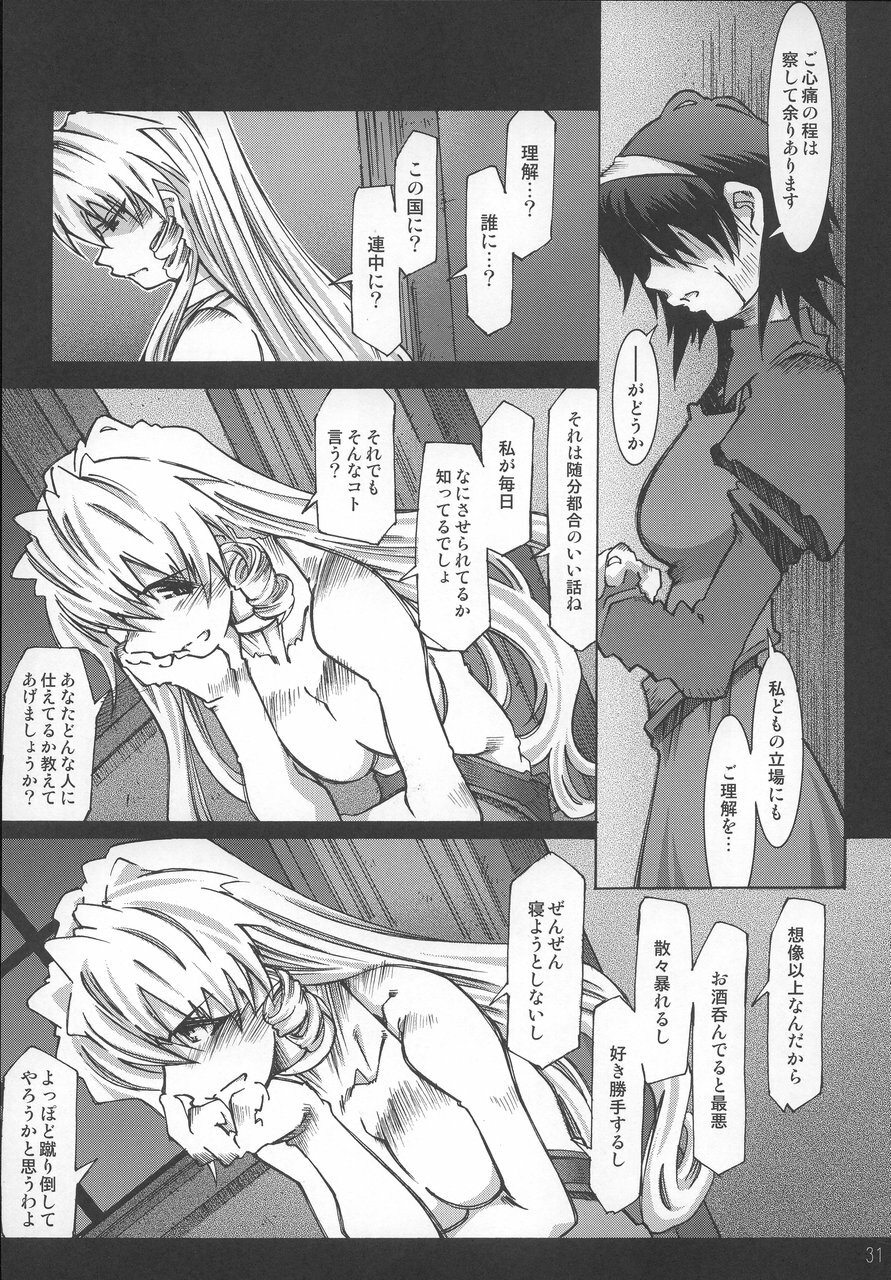 [OPEN BOOK (Toumi Haruka)] Night Spark Down (Scrapped Princess) page 30 full