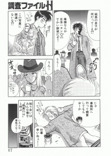 [Kuruma Ebi] Chousa File H - Investigation File - page 17