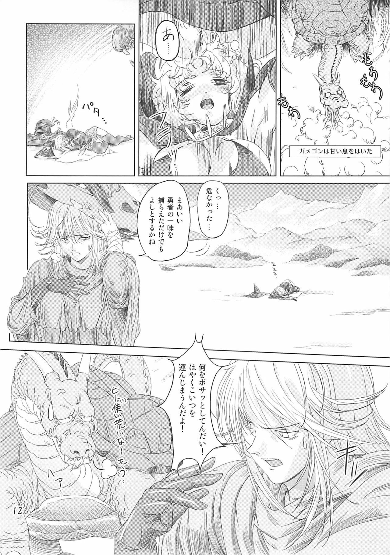 [Orange Peels (Ore P 1-gou, 2Gou)] Mahoutsukai vs. (Dragon Quest III) page 11 full