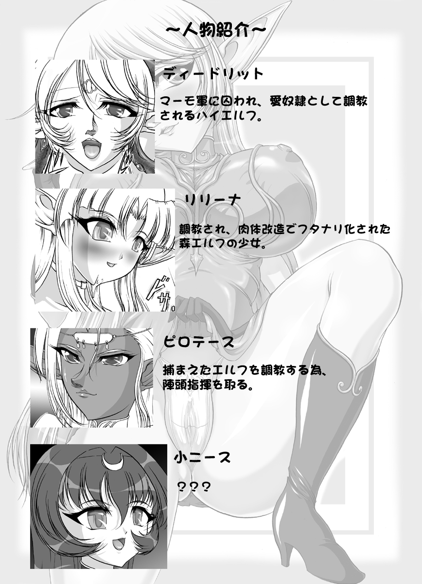 [SLW (Q1)] Aidorei Elf Senki (Record of Lodoss War) [Digital] page 4 full