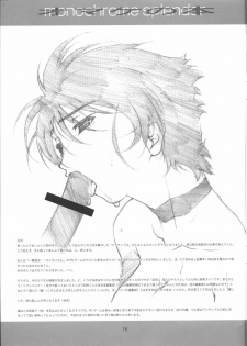 (C65) [STUDIO N.BALL (Haritama Hiroki)] monochrome splendor Omake no Hon - page 15