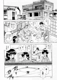 [Katsu Aki] Harem Kakumei 1 - page 21