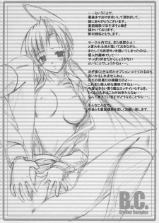 (C66) [DOUWA-KENSETSU (Nomura Teruya)] B.C. Brother Complex (Sister Princess) - page 29