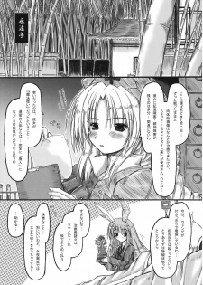 (Reitaisai 7) [Ankoku-Bousougumi (Ainu Mania)] Kowareru Niji - Hiun no Yume, Modori (Touhou Project) - page 28