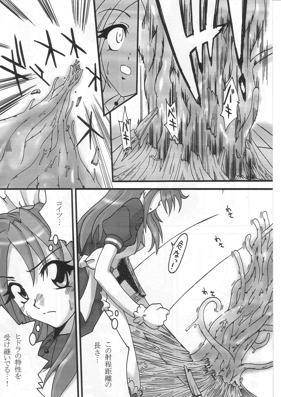 (C63) [FruitsJam (Mikagami Sou)] Kapura-san ga Koronda (Ragnarok Online) page 12 full