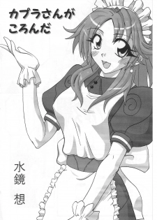(C63) [FruitsJam (Mikagami Sou)] Kapura-san ga Koronda (Ragnarok Online) - page 5