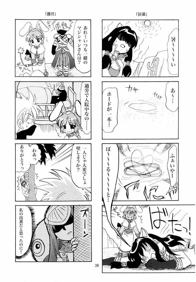 (C65) [PLUM (Kanna)] Magenarok. 3~7 Soushuuhen (Ragnarok Online) page 35 full