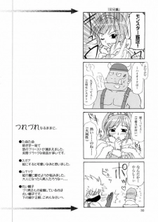 (C65) [PLUM (Kanna)] Magenarok. 3~7 Soushuuhen (Ragnarok Online) - page 29