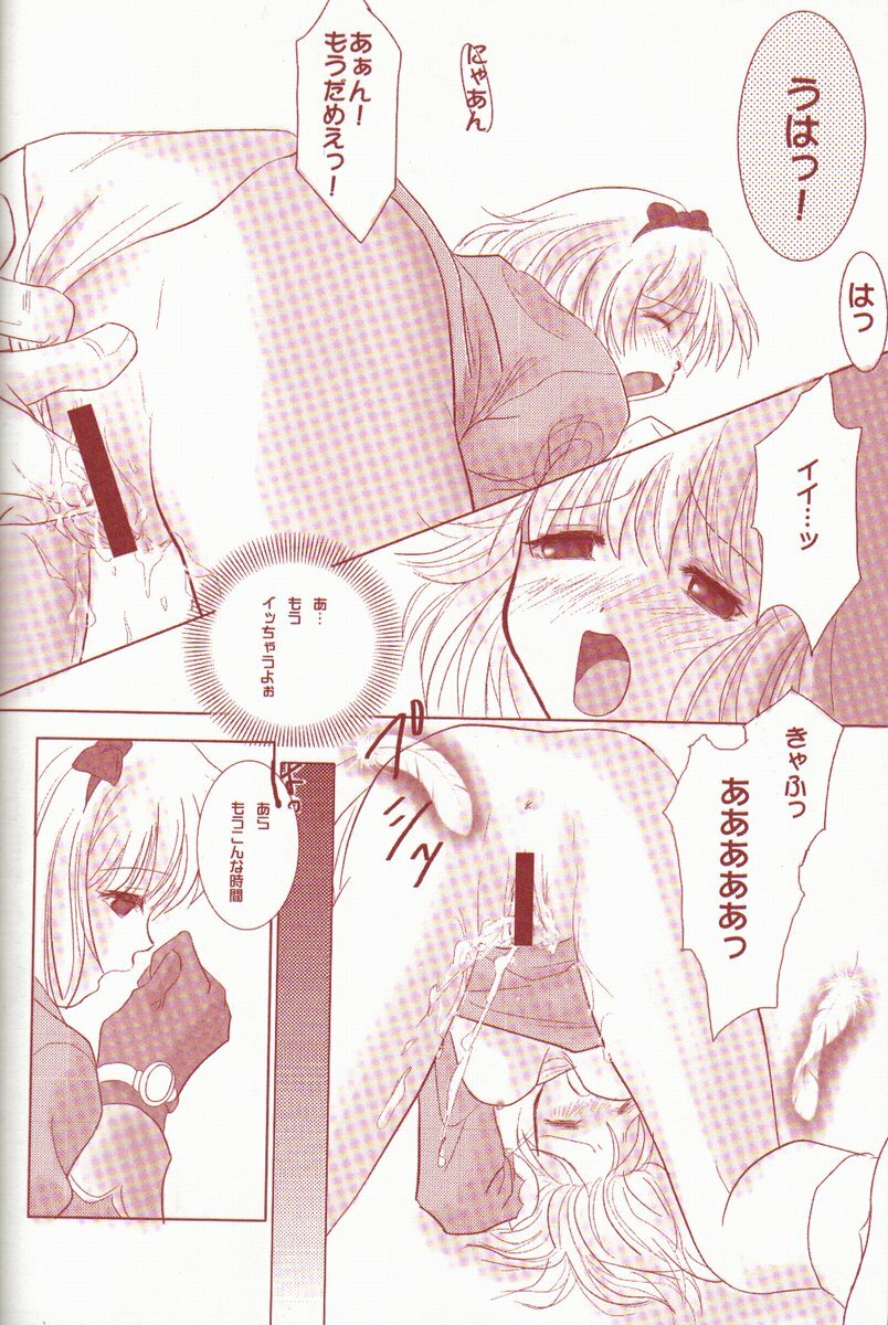 (C62) [AREYOUHAPPY?, APOCRIPHA (Asai Ichiko, Hiyama Akira)] ninukuna- (Ragnarok Online) page 14 full