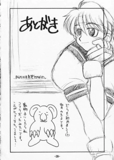 [Sune Girochin (Kisaragi Wataru)] St ZERO SAKURA Rentai Sekinin (Street Fighter) - page 28