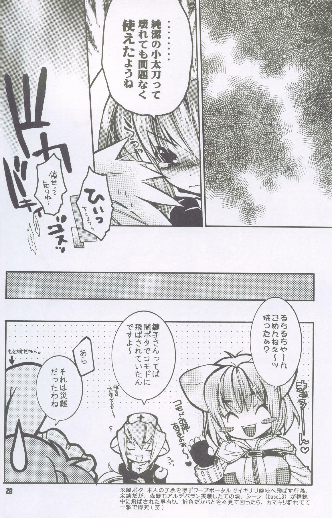 (C64) [Seinansei ni Kagayakeru Hoshi (Morino Papiko)] Ragnarok Yawa Level.2 (Ragnarok Online) page 27 full