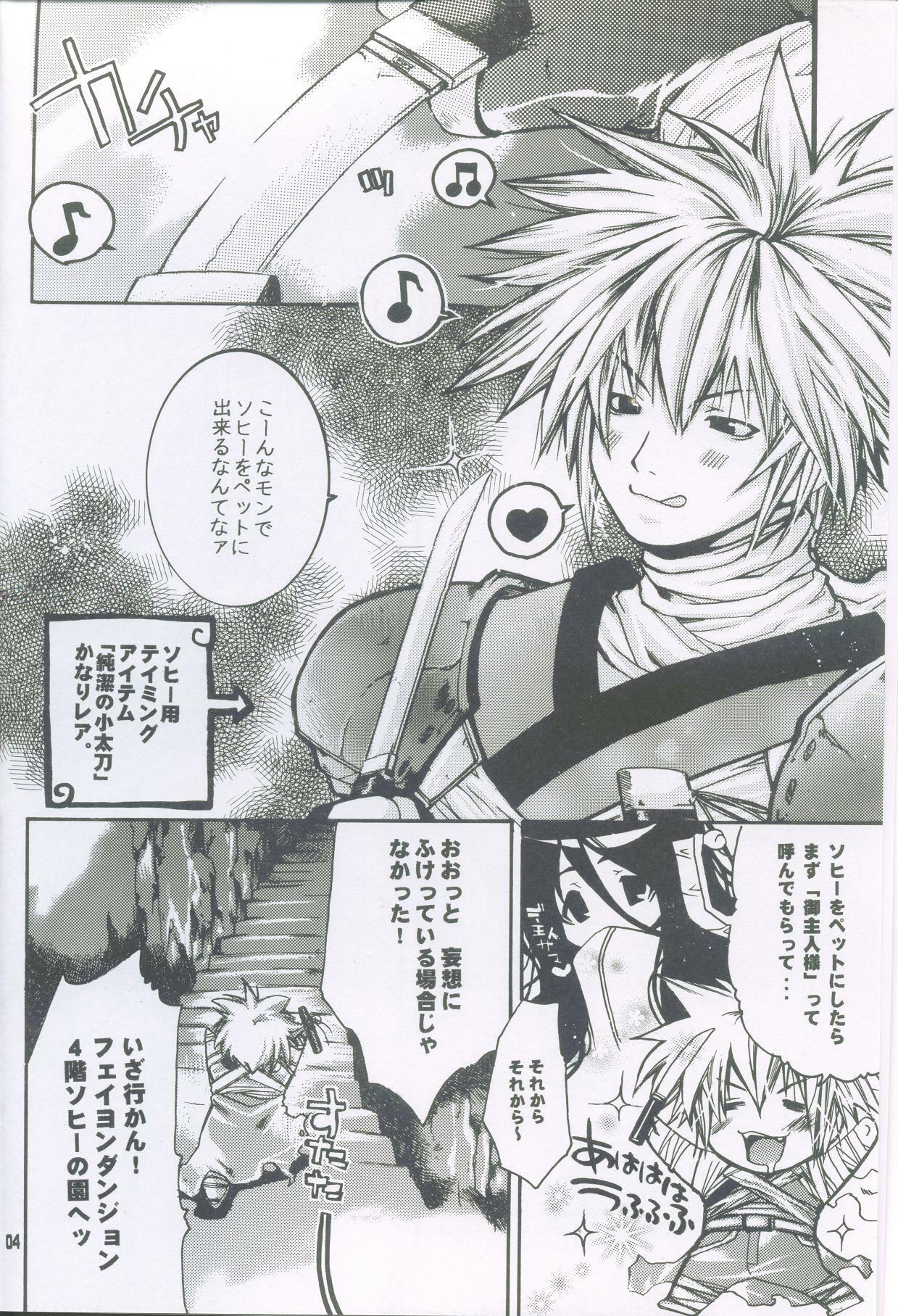 (C64) [Seinansei ni Kagayakeru Hoshi (Morino Papiko)] Ragnarok Yawa Level.2 (Ragnarok Online) page 3 full