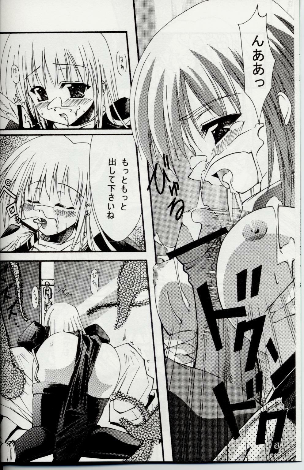 (C63) [Nanairo no Magatama (Nanaki Seiju)] Ragnarok Fantasy (Ragnarok Online) page 7 full