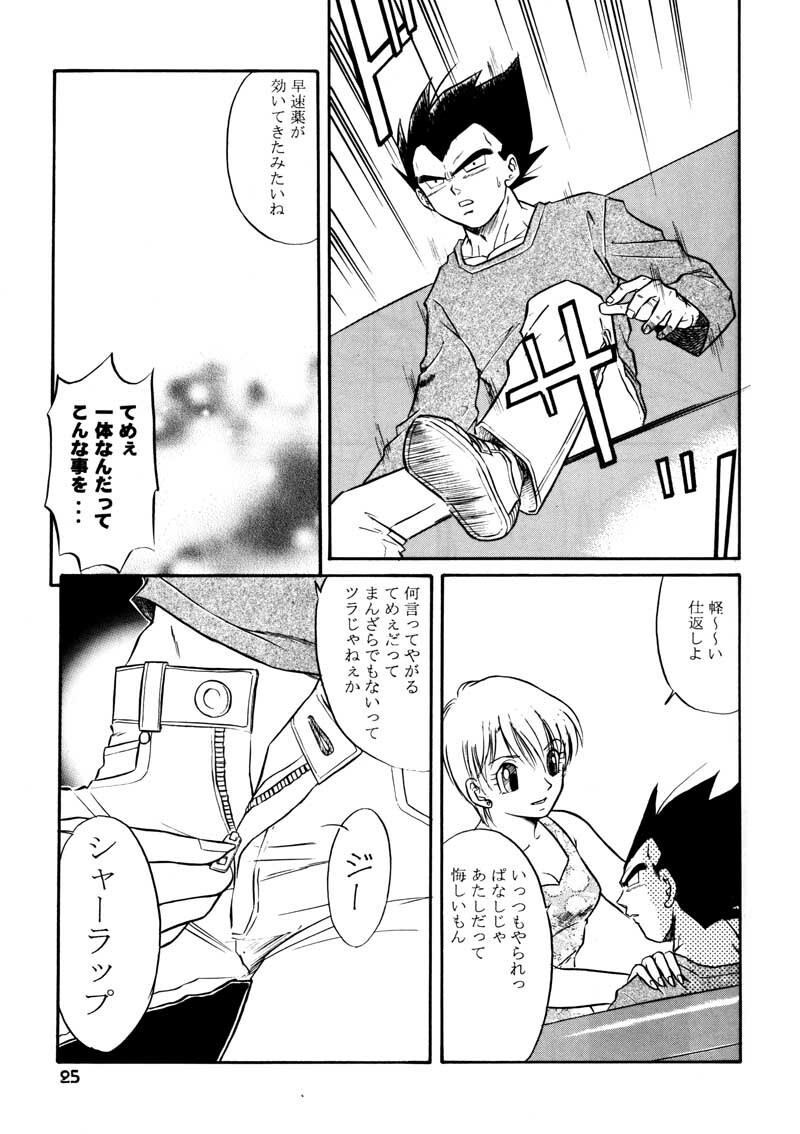 (C63) [Ryujin-kai (HITO Ribuki)] GIFT (Dragon Ball Z) page 24 full