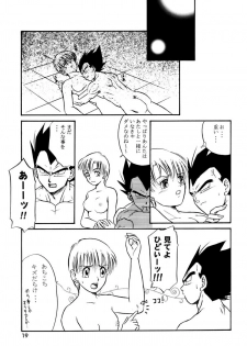(C63) [Ryujin-kai (HITO Ribuki)] GIFT (Dragon Ball Z) - page 18