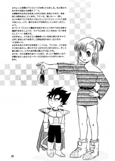 (C63) [Ryujin-kai (HITO Ribuki)] GIFT (Dragon Ball Z) - page 20