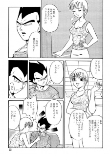 (C63) [Ryujin-kai (HITO Ribuki)] GIFT (Dragon Ball Z) - page 22