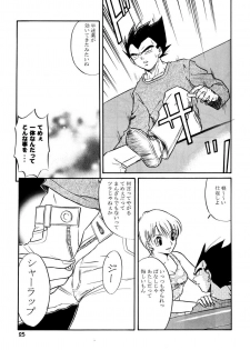 (C63) [Ryujin-kai (HITO Ribuki)] GIFT (Dragon Ball Z) - page 24