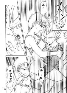(C63) [Ryujin-kai (HITO Ribuki)] GIFT (Dragon Ball Z) - page 28