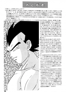 (C63) [Ryujin-kai (HITO Ribuki)] GIFT (Dragon Ball Z) - page 31