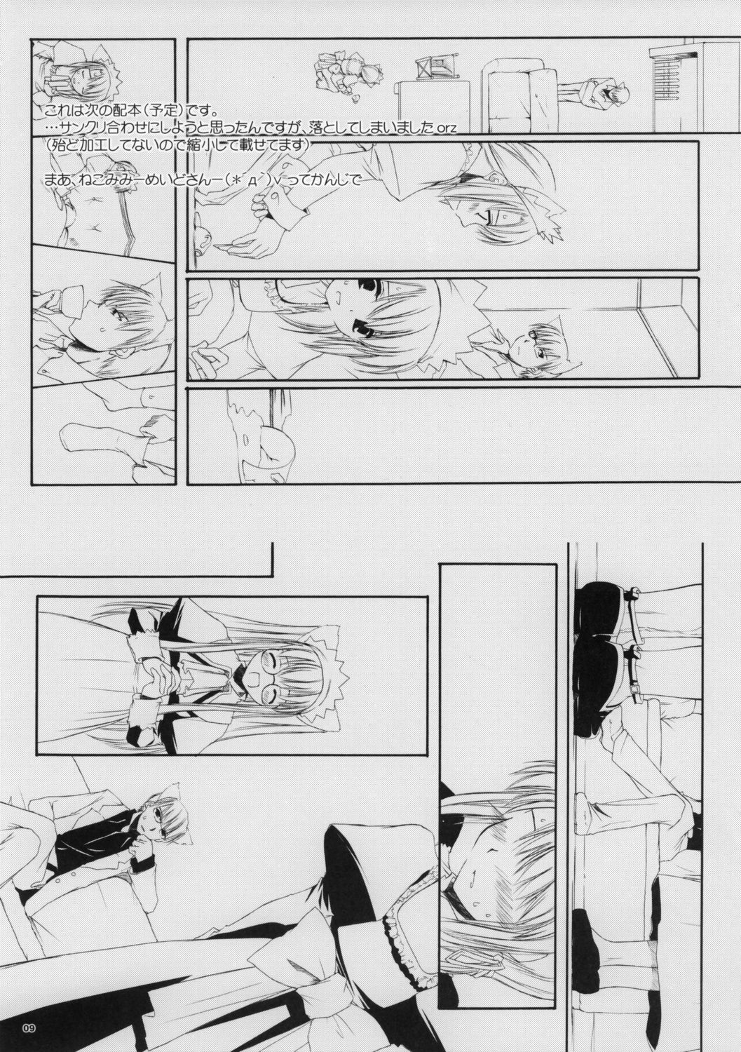 (SC30) [Digital Lover (Nakajima Yuka)] ROUGH SKETCH 27 (Ragnarok Online) page 9 full