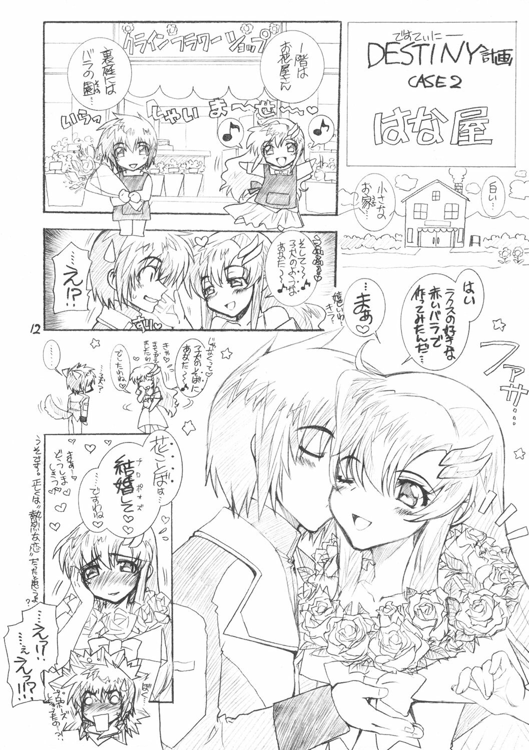 (C69) [WILD KINGDOM (Sensouji Kinoto)] From A to Z (Gundam SEED DESTINY) page 11 full