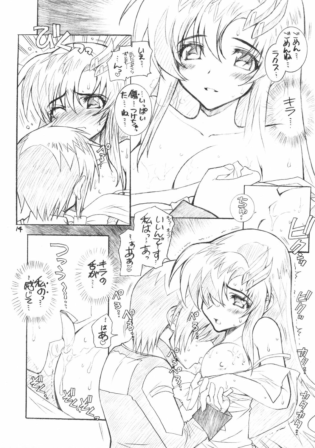 (C69) [WILD KINGDOM (Sensouji Kinoto)] From A to Z (Gundam SEED DESTINY) page 13 full