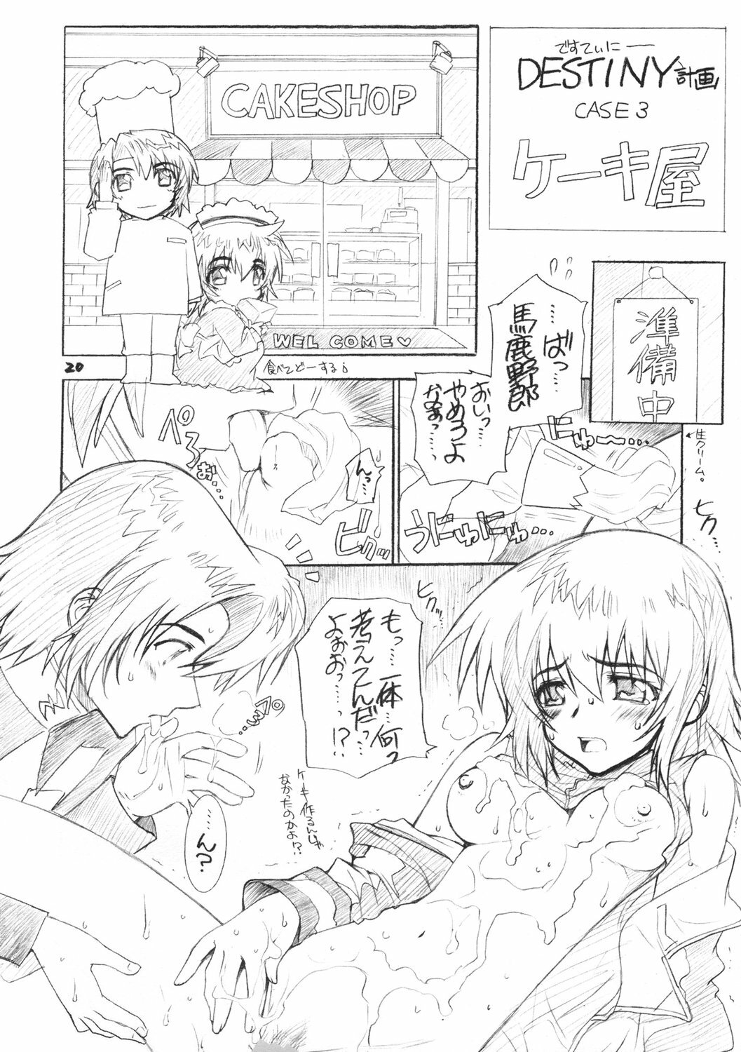 (C69) [WILD KINGDOM (Sensouji Kinoto)] From A to Z (Gundam SEED DESTINY) page 19 full
