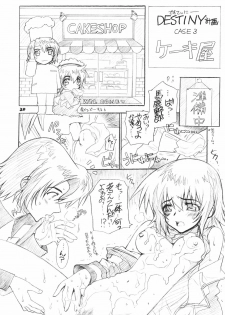 (C69) [WILD KINGDOM (Sensouji Kinoto)] From A to Z (Gundam SEED DESTINY) - page 19