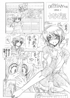 (C69) [WILD KINGDOM (Sensouji Kinoto)] From A to Z (Gundam SEED DESTINY) - page 5