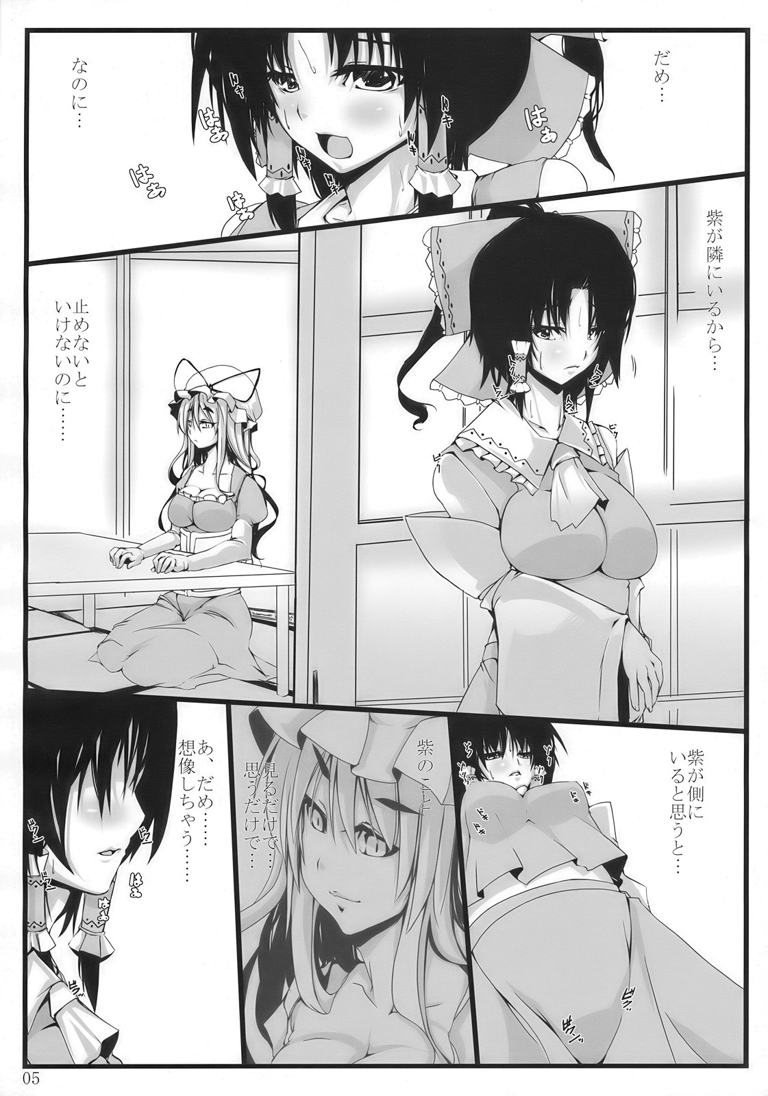 (C77) [Kara no Tsuki (Toono Yayoi)] Touhou Mousou Kyou 14 (Touhou Project) page 5 full