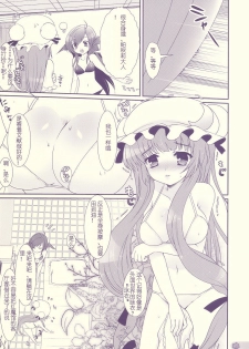 (C76) [Kuma-tan Flash! (Hanao)] Tube Rose (Touhou Project) [Chinese] [萌の空漢化社] - page 7