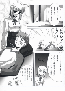 (C66) [BLUE GARNET (Serizawa Katsumi)] BLUE GARNET XVII (Fate/stay night) - page 20