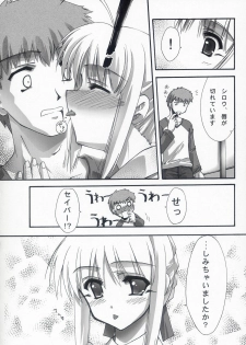 (C66) [BLUE GARNET (Serizawa Katsumi)] BLUE GARNET XVII (Fate/stay night) - page 25