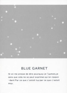(C66) [BLUE GARNET (Serizawa Katsumi)] BLUE GARNET XVII (Fate/stay night) - page 3