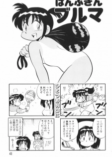 [Mizuta Kyoryu] PUMPKIN BLOOMERS 1 - page 45