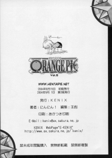 (C66) [KENIX (Ninnin!)] ORANGE PIE Vol. 5 (One Piece) [Portuguese-BR] [HentaiPie] - page 33