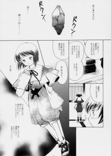 (Yume no Naka no Niwashi) [Onegai-Cheesecake (Ameya Shunmyou)] Hoshizora no Dress (Rozen Maiden) - page 20