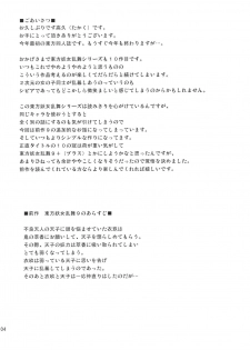 (C77) [Takakuya (Takaku Toshihiko)] Touhou Youjo Ranbu 10 (Touhou Project) - page 4