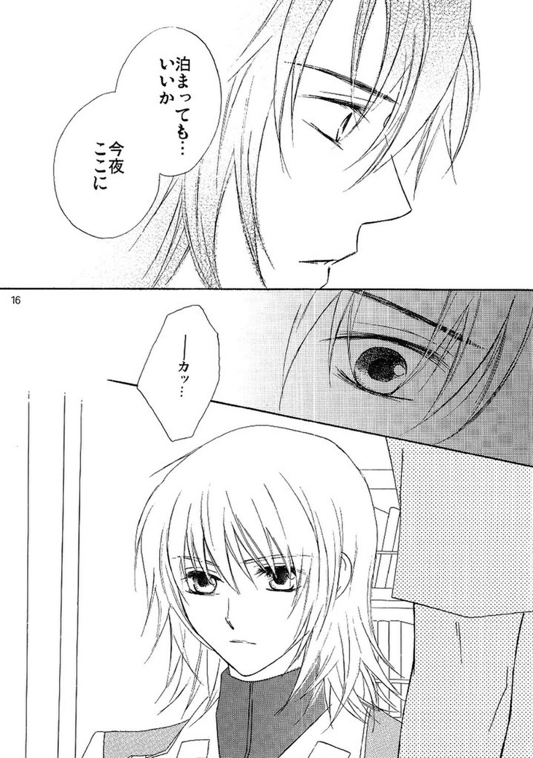 [Berry & Precious] Koyoi Ichiya (Gundam SEED DESTINY) page 15 full