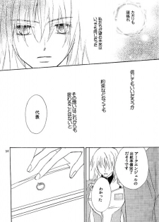 [Berry & Precious] Koyoi Ichiya (Gundam SEED DESTINY) - page 33
