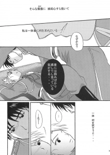 (C66) [Reongumi (Kaneda Reon)] Doko ka Hukai Tokoro (Fullmetal Alchemist) - page 18