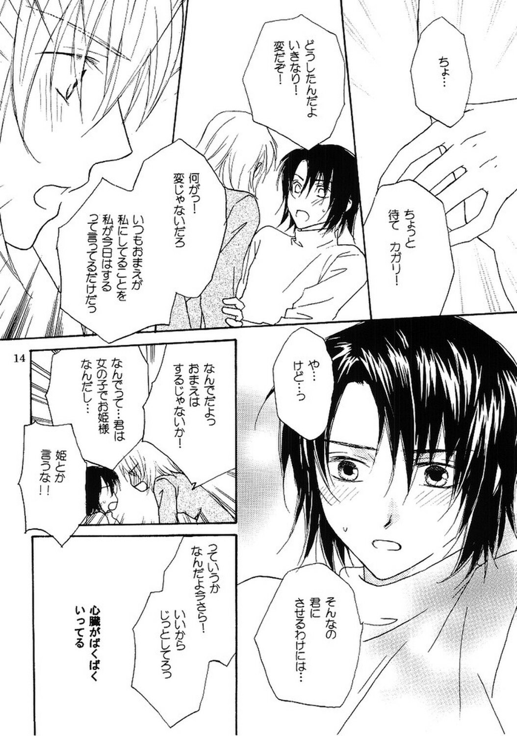 [Berry & Precious] Beautiful Beast (Gundam SEED DESTINY) page 13 full