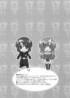 [Alyder (Takahashi Jinrai)] A*M date (Gundam SEED DESTINY) - page 15