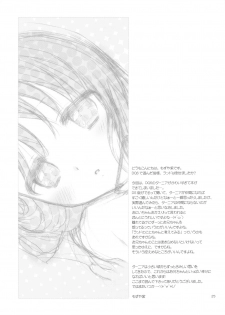 (COMIC1☆4) [CASMANIA (Mozuya Murasaki)] Dameda Ore Mou Imouto Shika Mienai...! (Dragon Quest VI) - page 25