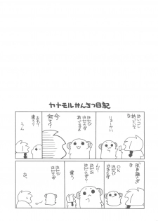 (COMIC1☆4) [ciaociao (Araki Kanao)] Bun Bun Fantasia (Touhou Project) - page 13