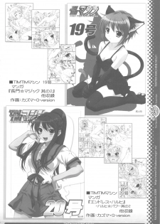 (SC46) [TIMTIM MACHINE (Kazuma G-version)] TIMTIM MACHINE 21 Gou (The Melancholy of Haruhi Suzumiya) - page 30