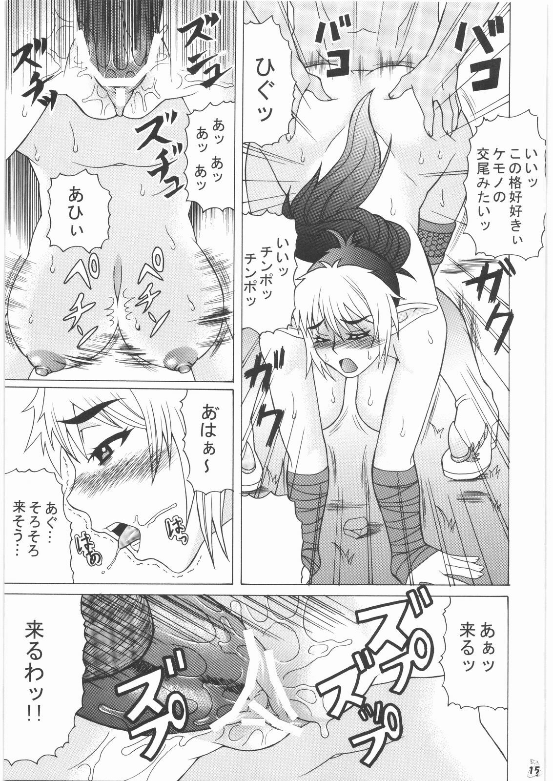 (C72) [Tsurikichi Doumei (Hiraizumi Kou)] Moshimo Echidna to Okarerunaraba (Queen's Blade) page 14 full